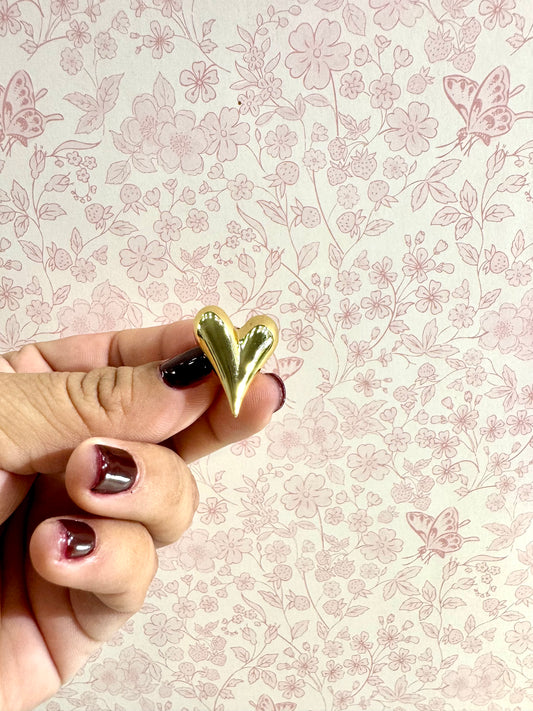 Aretes corazón doble